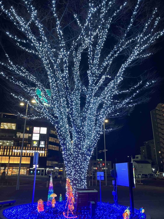 クリスマスのイメージ写真